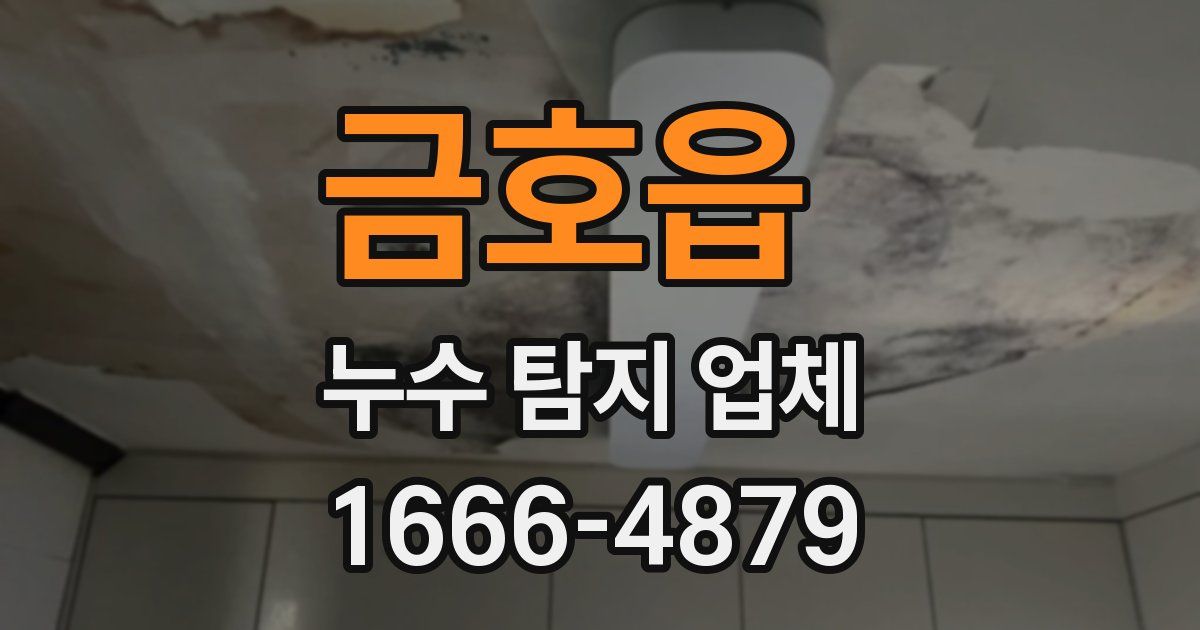 금호읍 누수 탐지 업체