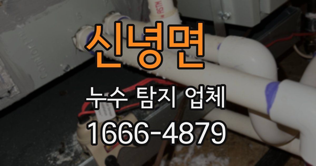 신녕면 누수 탐지 업체