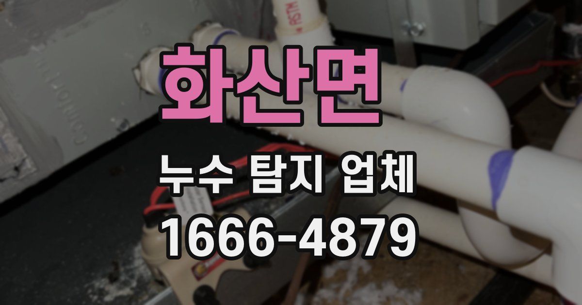 화산면 누수 탐지 업체