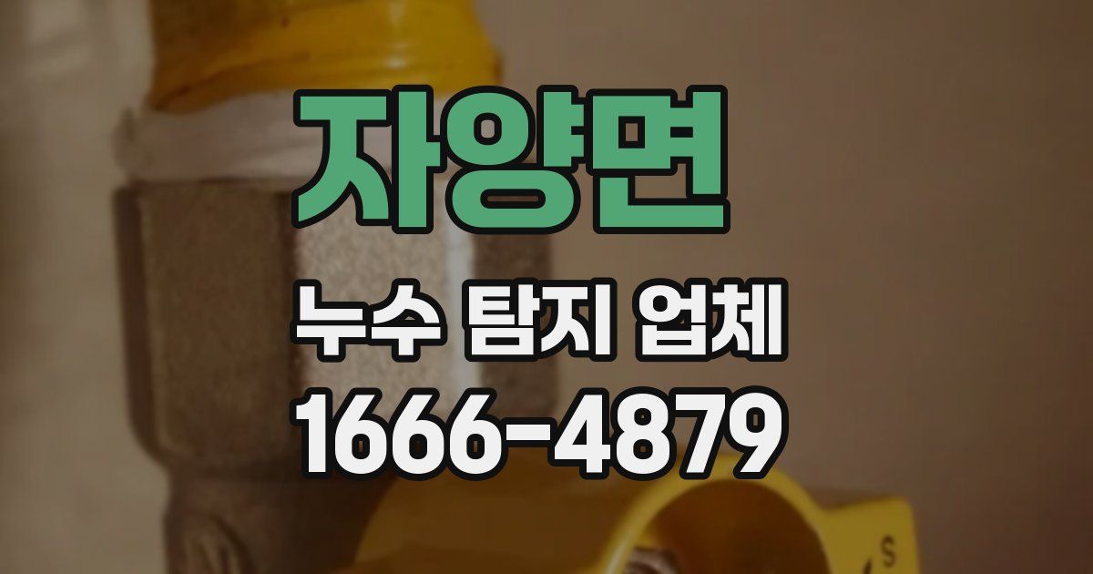 자양면 누수 탐지 업체