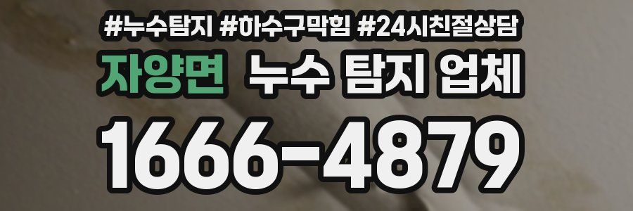 자양면 누수 탐지 업체