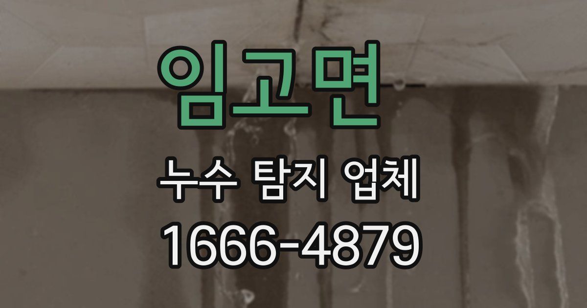 임고면 누수 탐지 업체
