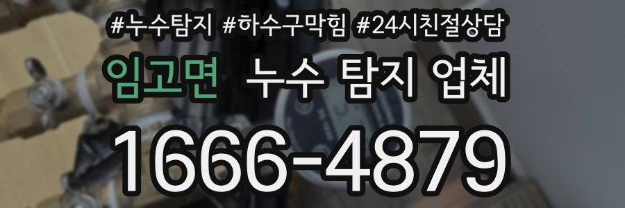 임고면 누수 탐지 업체