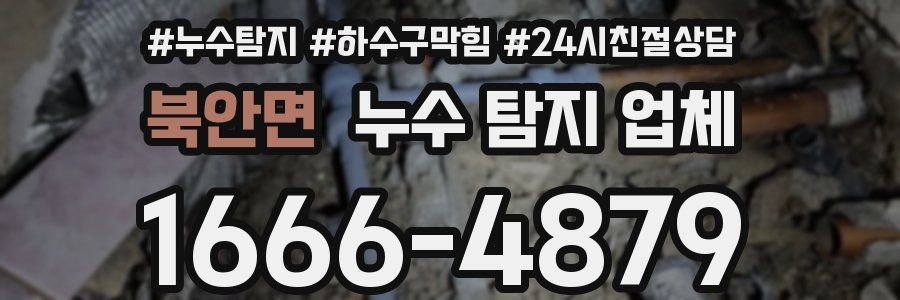 북안면 누수 탐지 업체