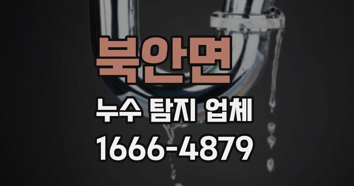 북안면 누수 탐지 업체