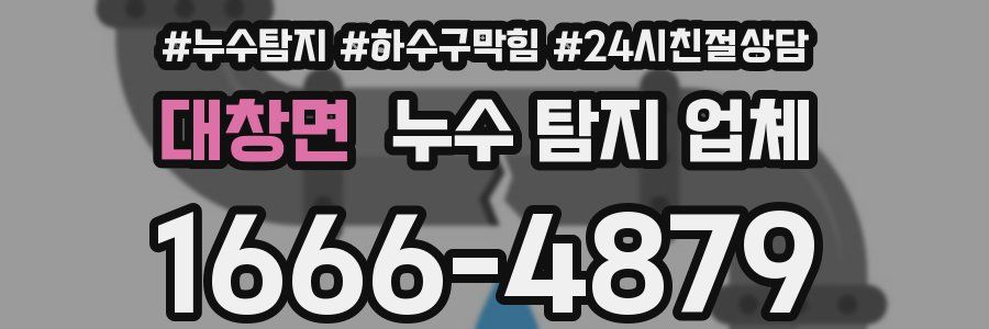 대창면 누수 탐지 업체
