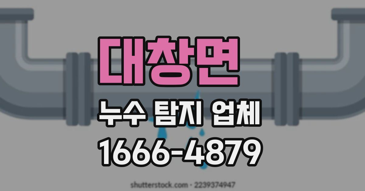 대창면 누수 탐지 업체