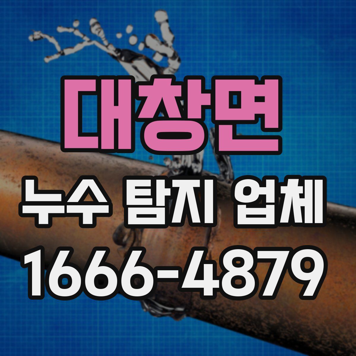 대창면 누수 탐지 업체