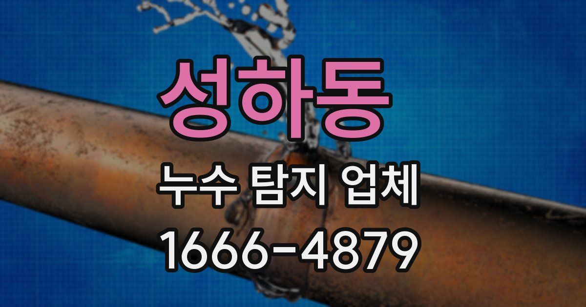 성하동 누수 탐지 업체