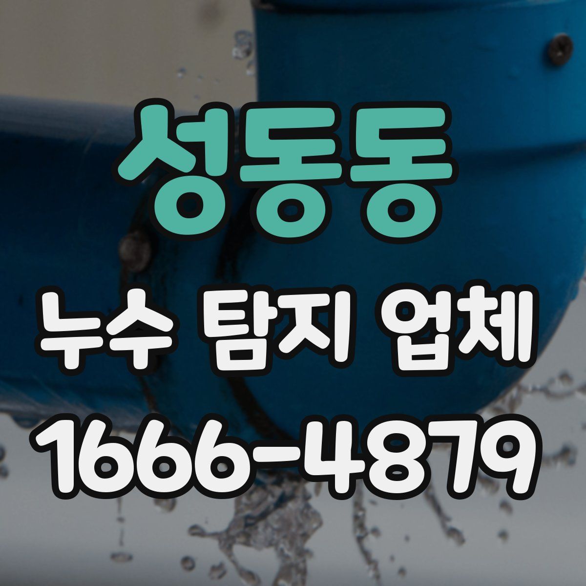 성동동 누수 탐지 업체