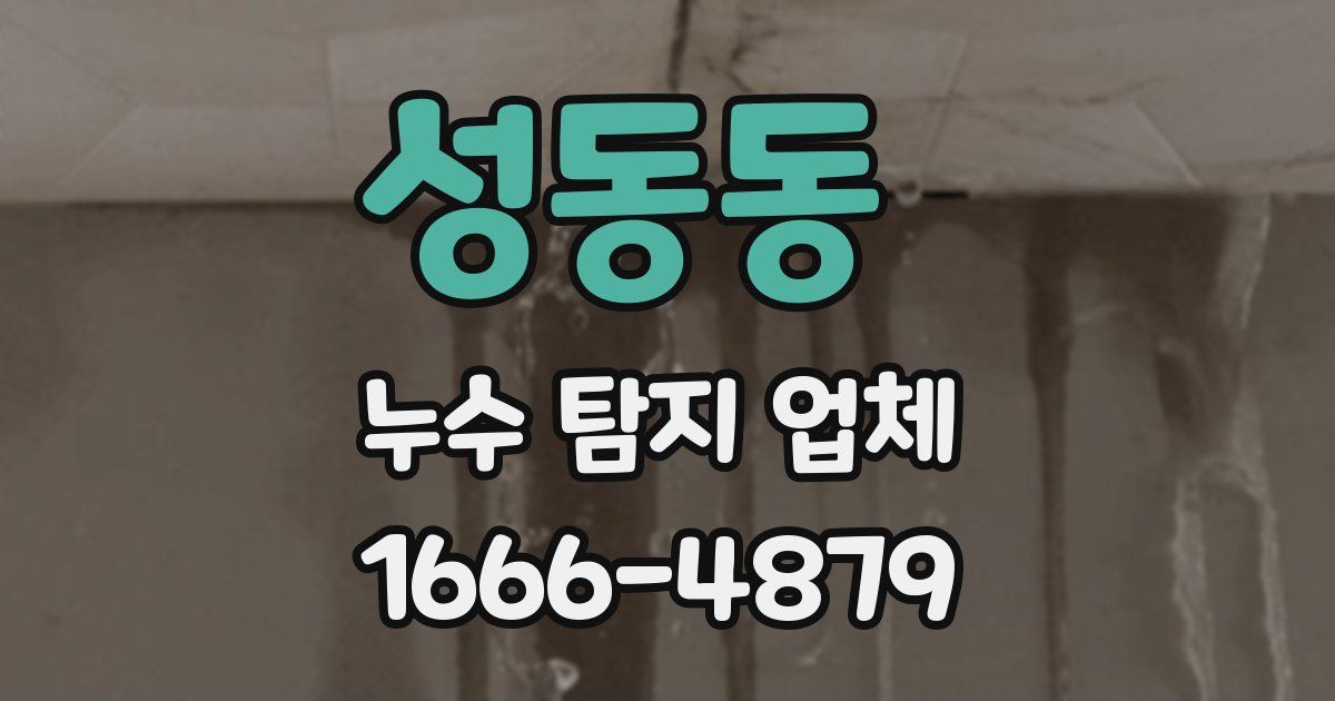 성동동 누수 탐지 업체