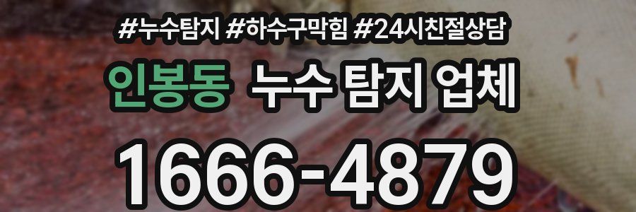 인봉동 누수 탐지 업체