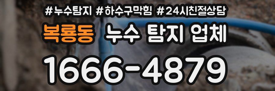 복룡동 누수 탐지 업체