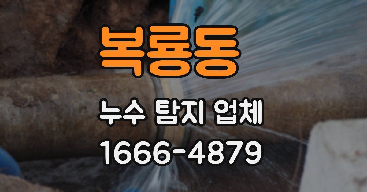 복룡동 누수 탐지 업체