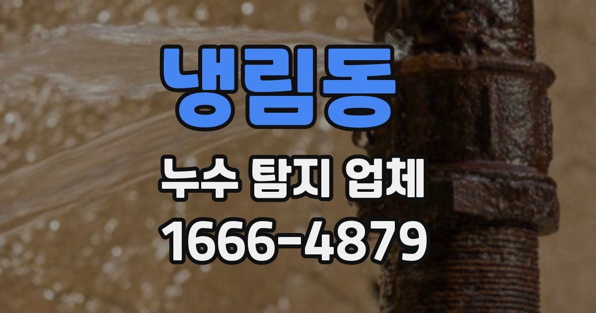 냉림동 누수 탐지 업체
