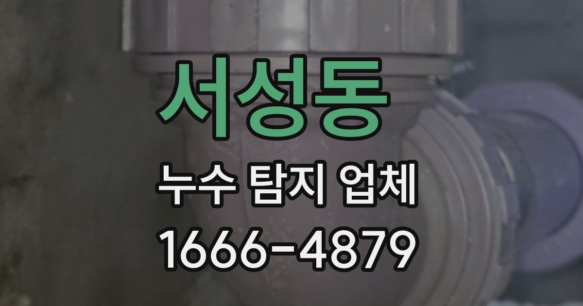 서성동 누수 탐지 업체