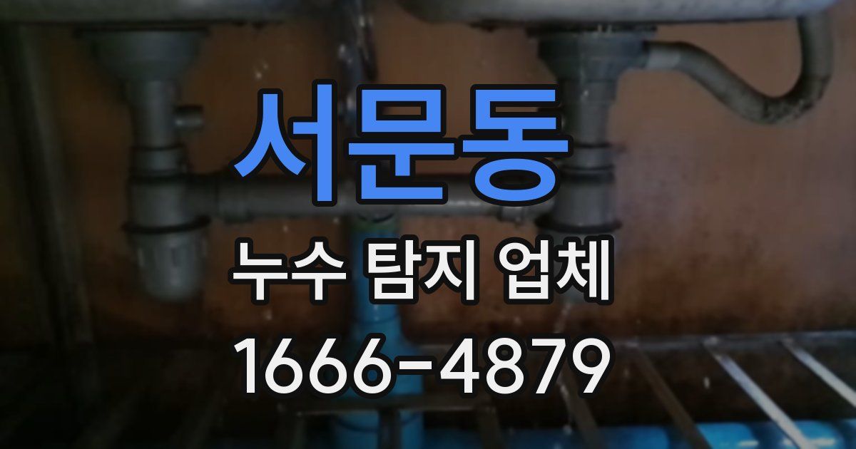 서문동 누수 탐지 업체