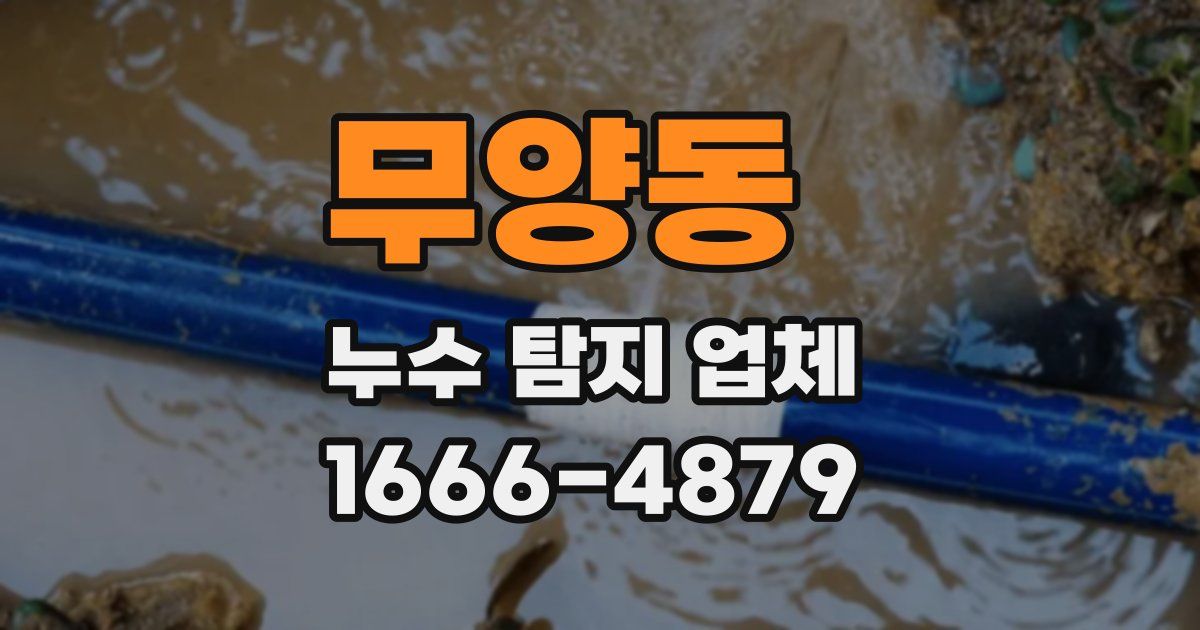 무양동 누수 탐지 업체