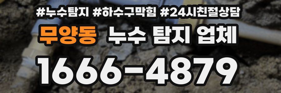 무양동 누수 탐지 업체