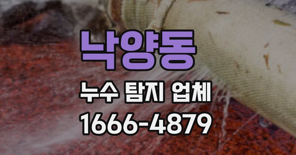 낙양동 누수 탐지 업체