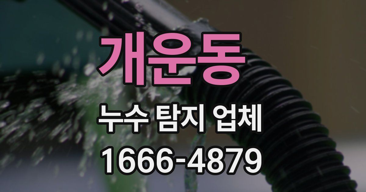개운동 누수 탐지 업체