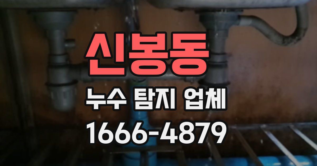 신봉동 누수 탐지 업체