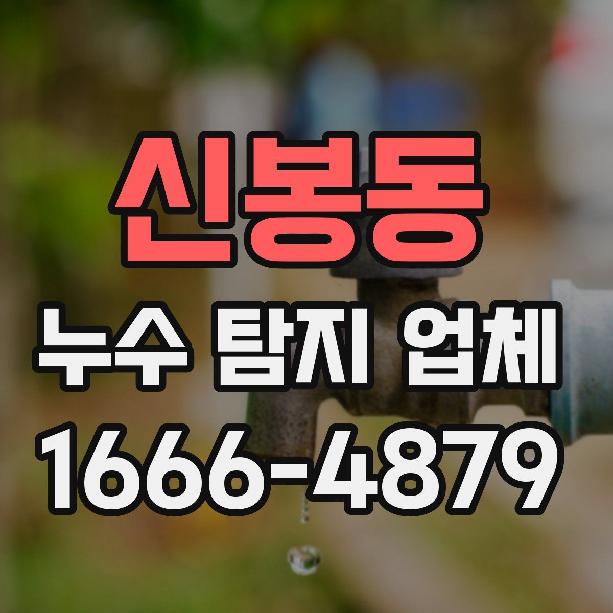 신봉동 누수 탐지 업체