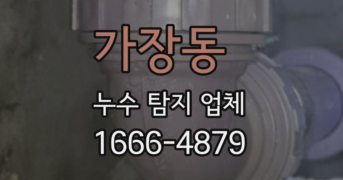가장동 누수 탐지 업체