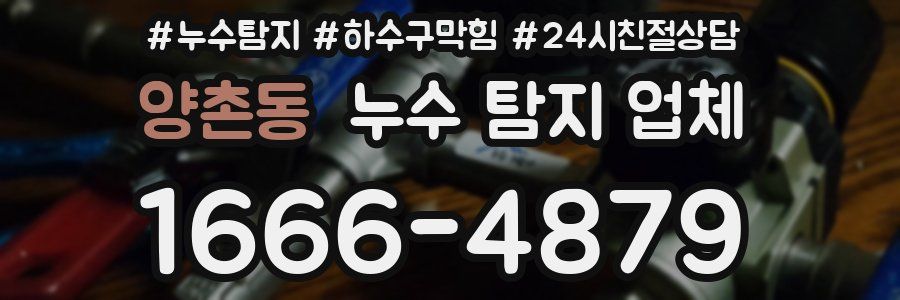 양촌동 누수 탐지 업체