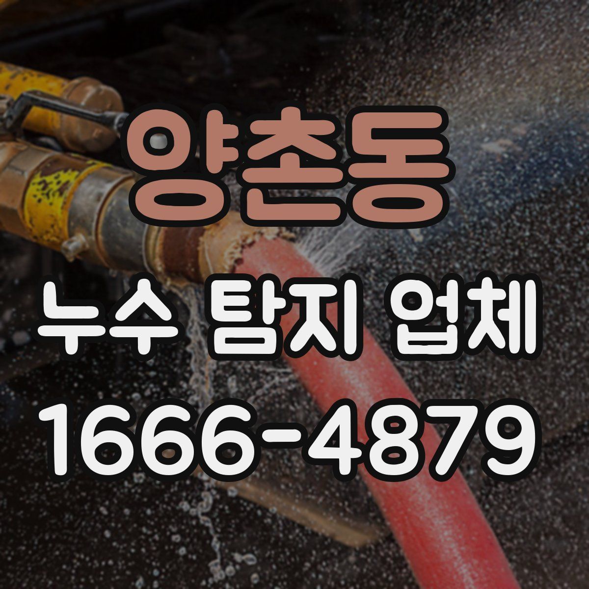 양촌동 누수 탐지 업체