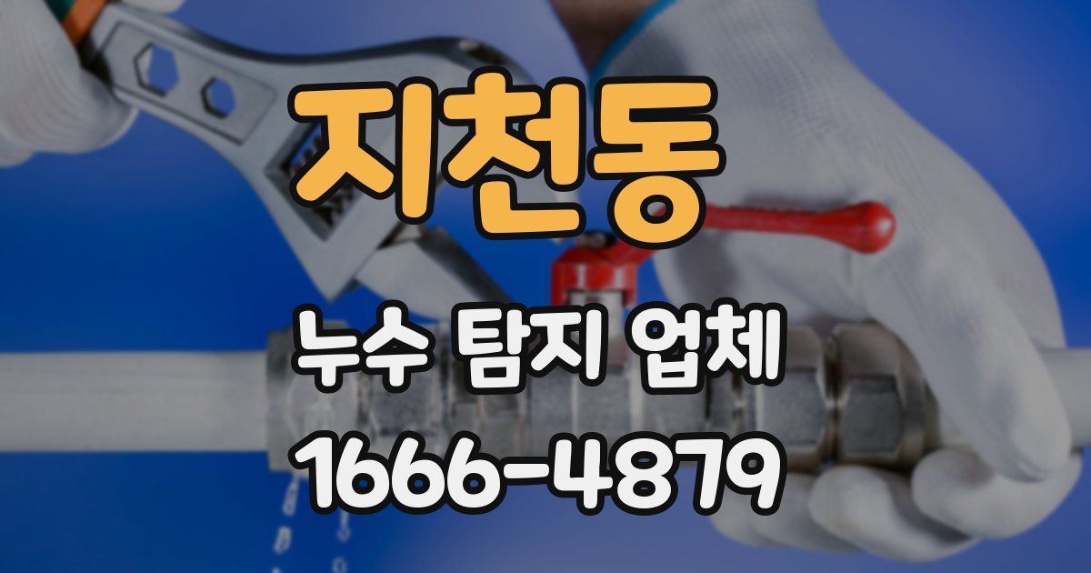 지천동 누수 탐지 업체