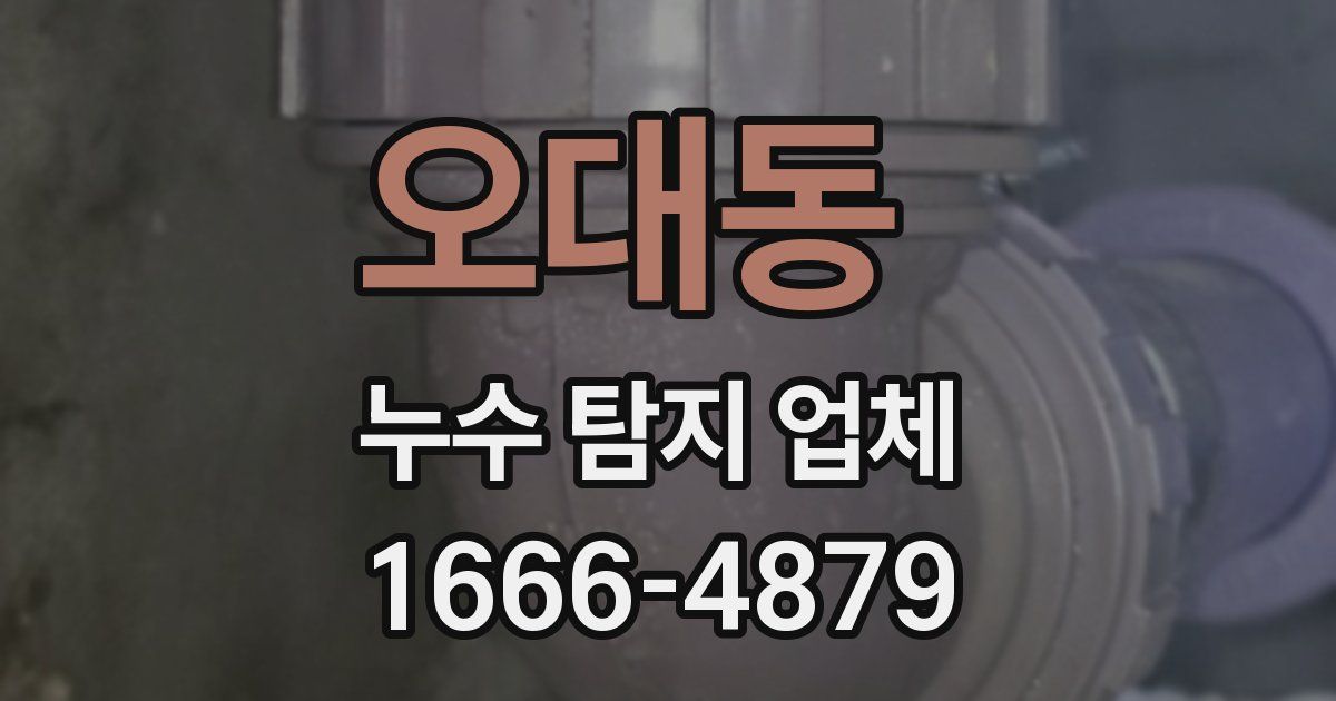 오대동 누수 탐지 업체