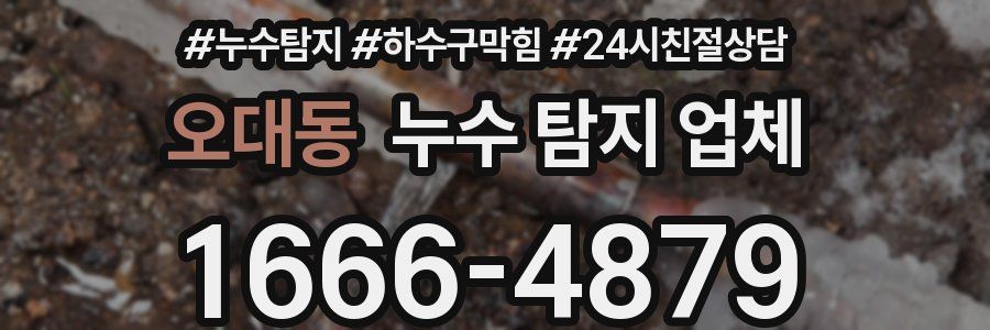 오대동 누수 탐지 업체