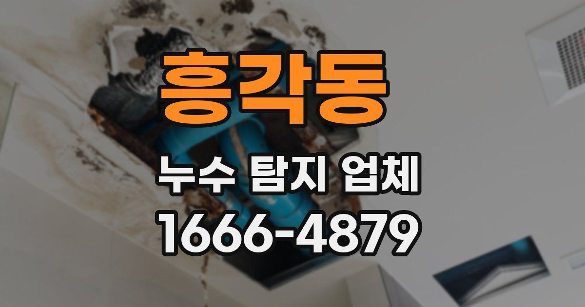 흥각동 누수 탐지 업체