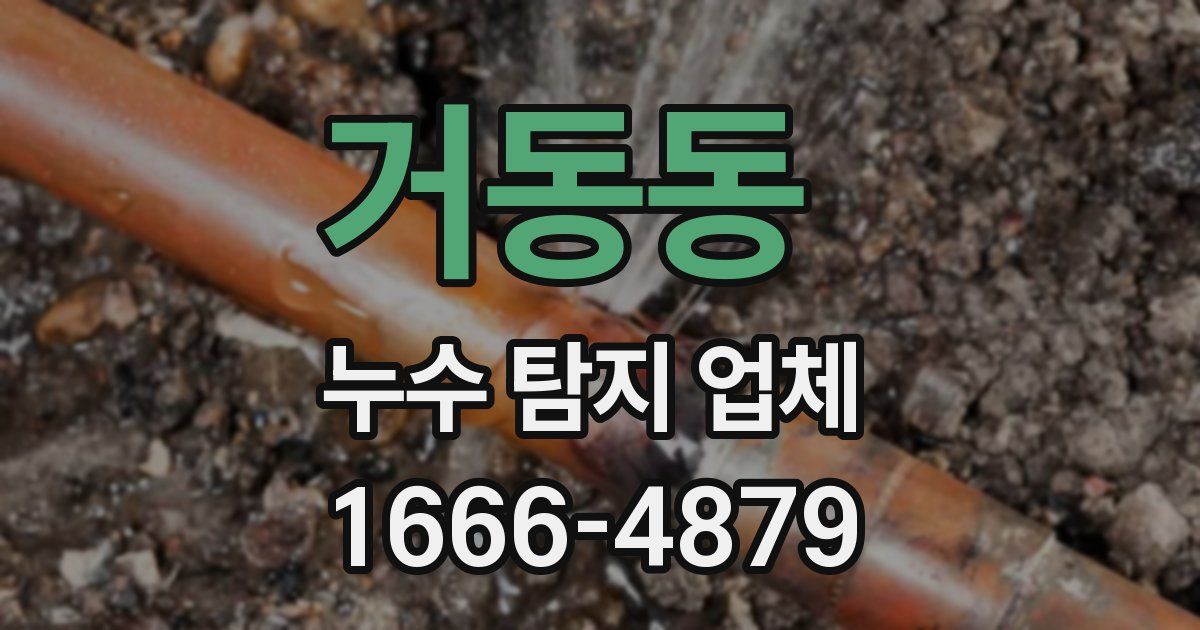 거동동 누수 탐지 업체