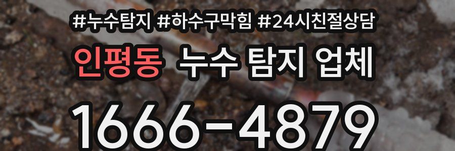 인평동 누수 탐지 업체