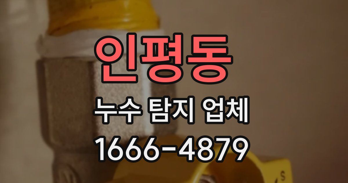 인평동 누수 탐지 업체