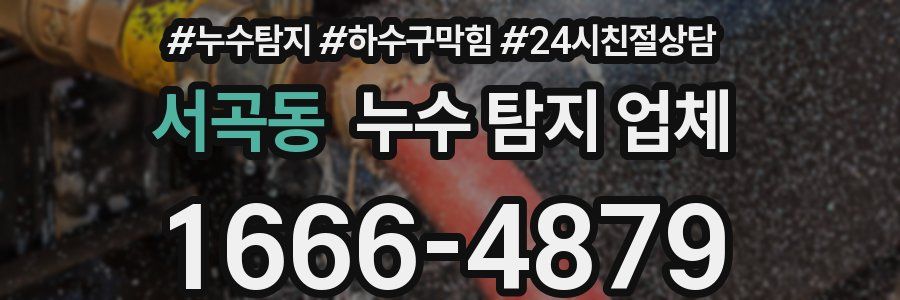 서곡동 누수 탐지 업체