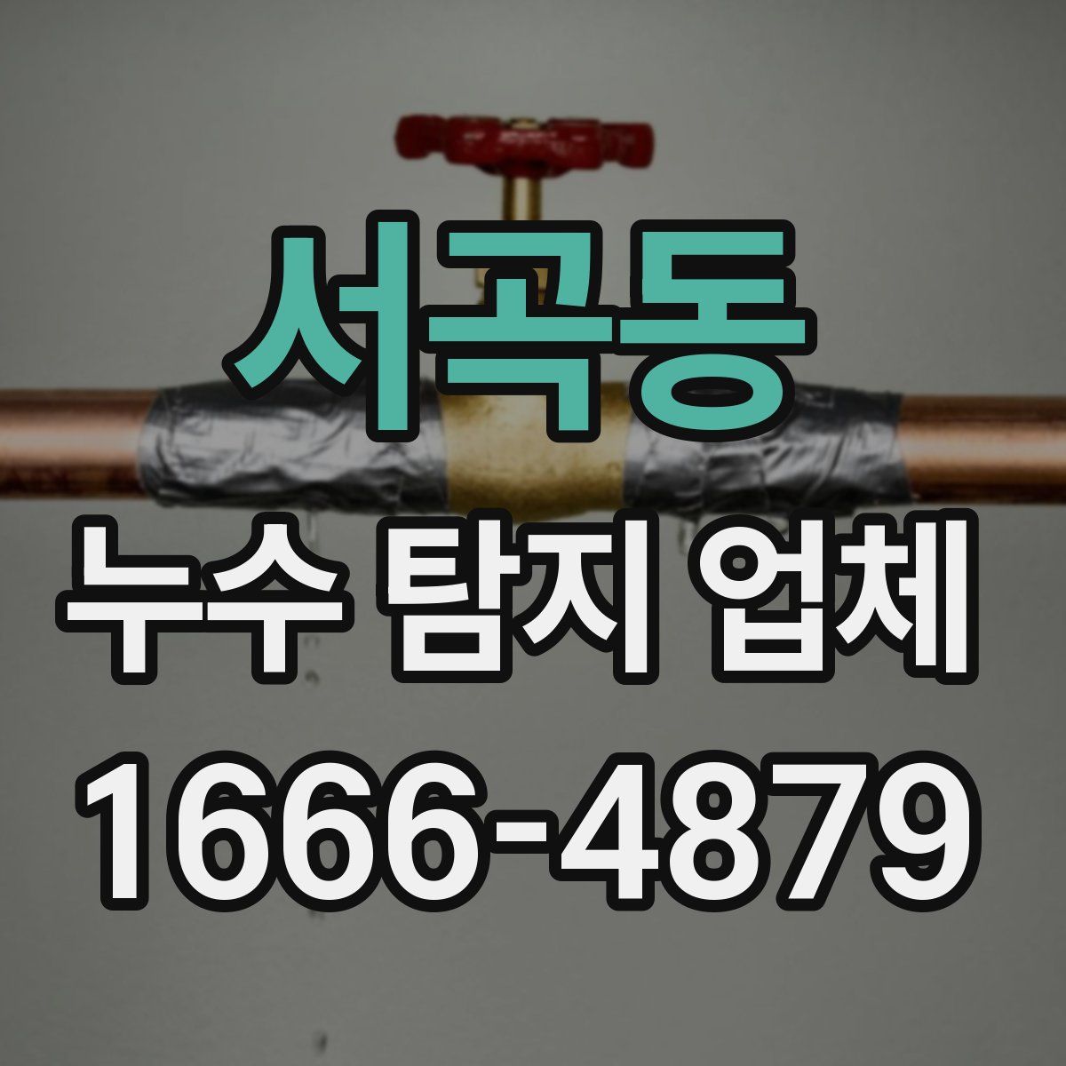 서곡동 누수 탐지 업체