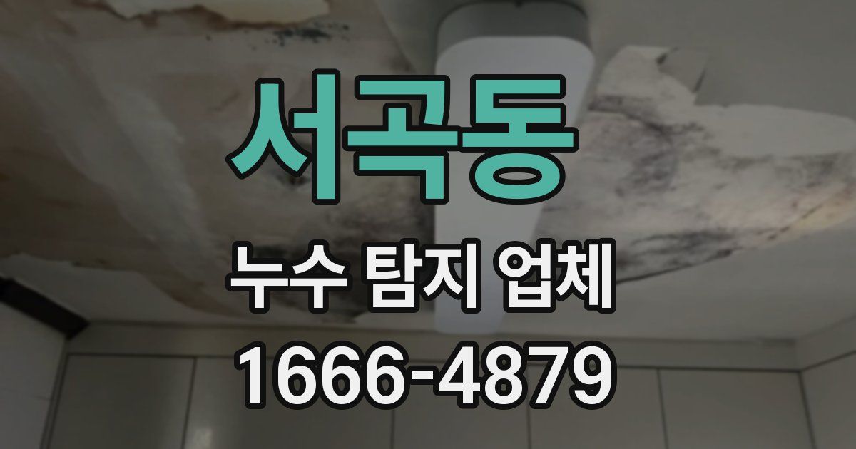 서곡동 누수 탐지 업체