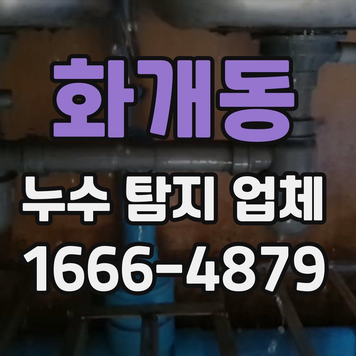 화개동 누수 탐지 업체
