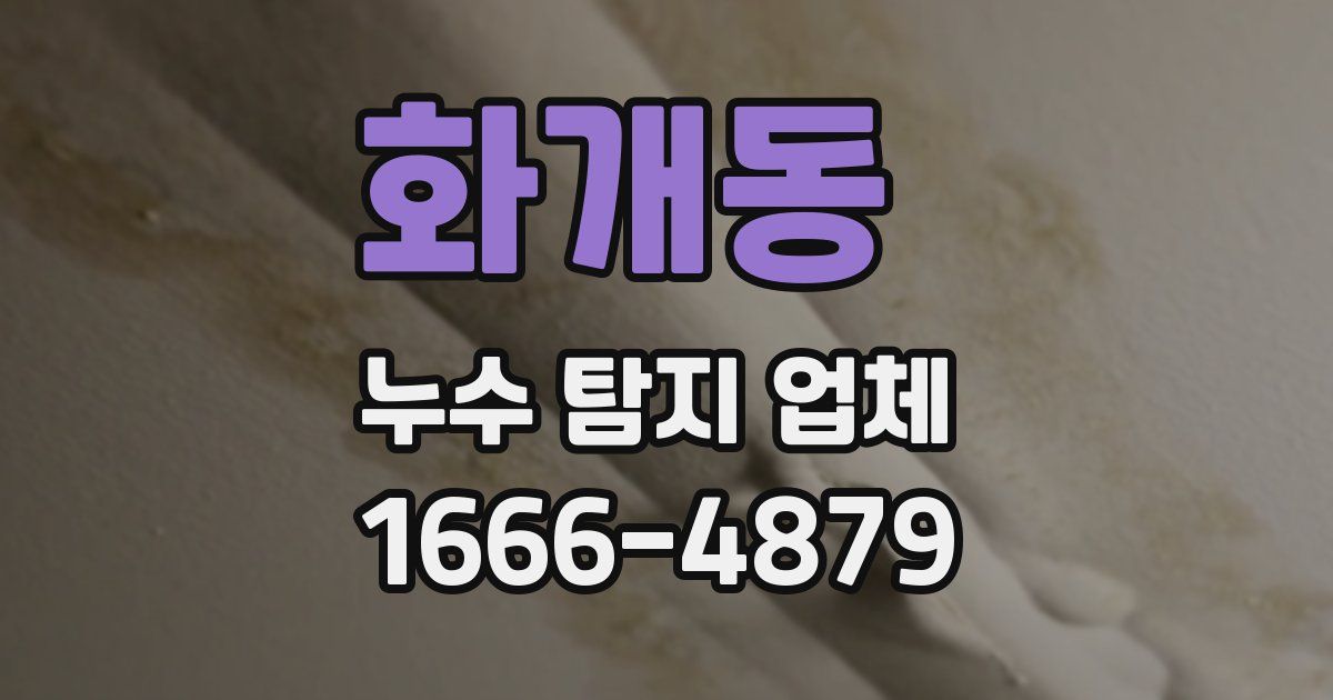 화개동 누수 탐지 업체