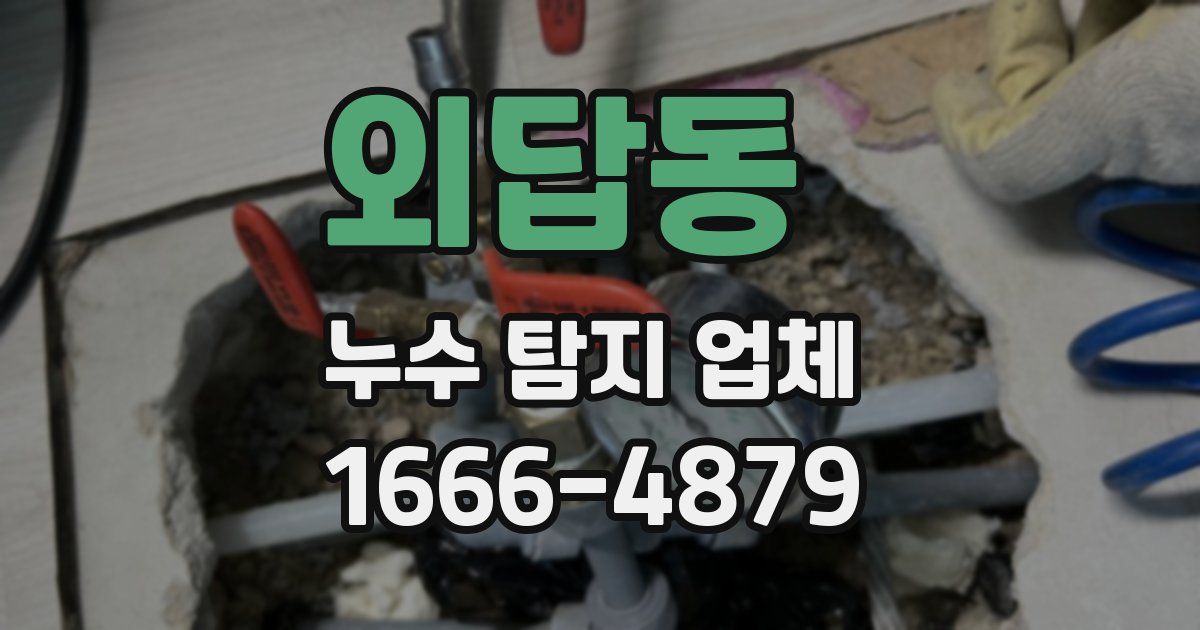 외답동 누수 탐지 업체