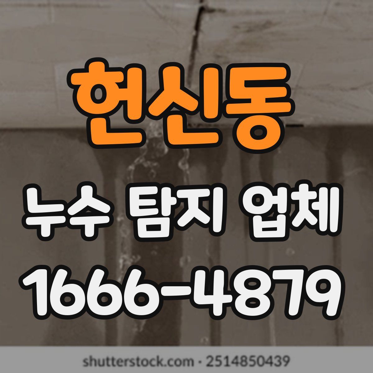 헌신동 누수 탐지 업체