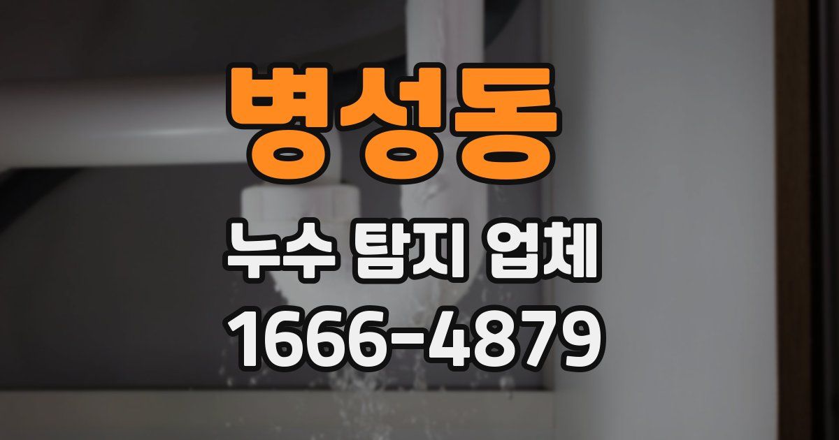 병성동 누수 탐지 업체