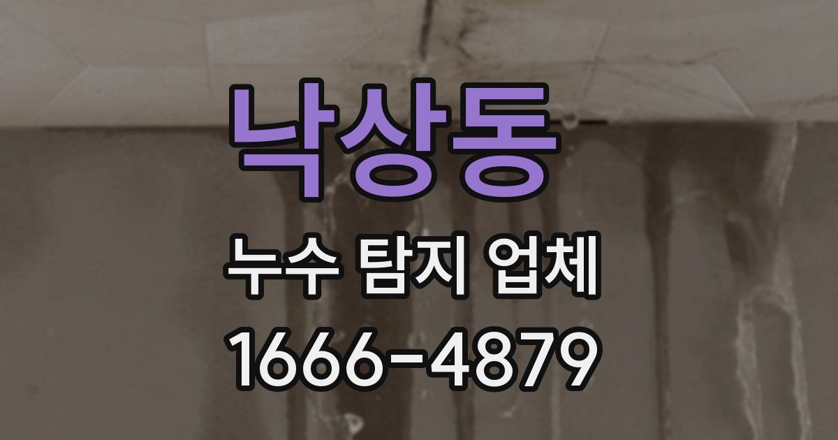 낙상동 누수 탐지 업체