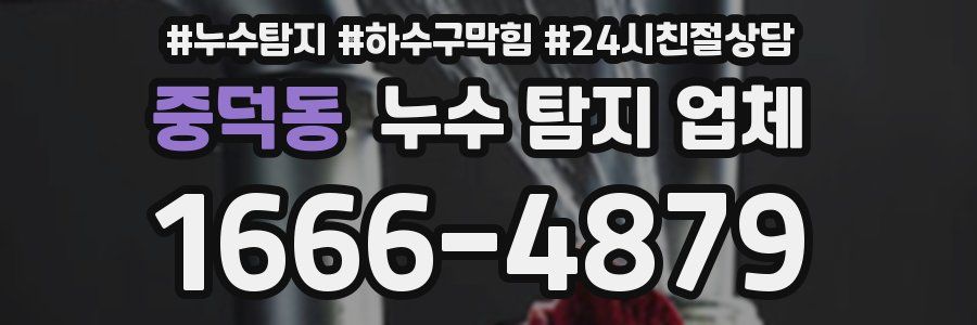 중덕동 누수 탐지 업체
