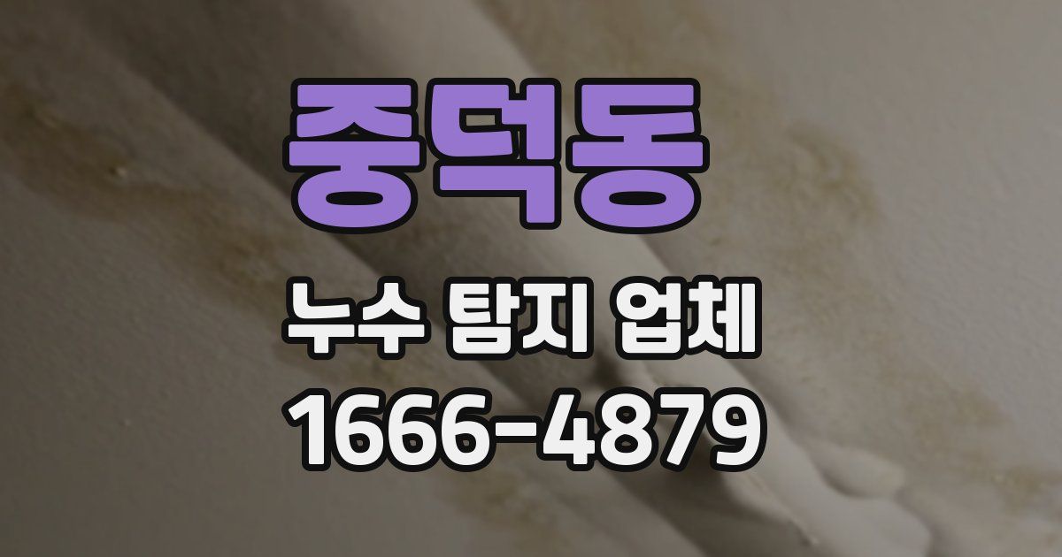 중덕동 누수 탐지 업체