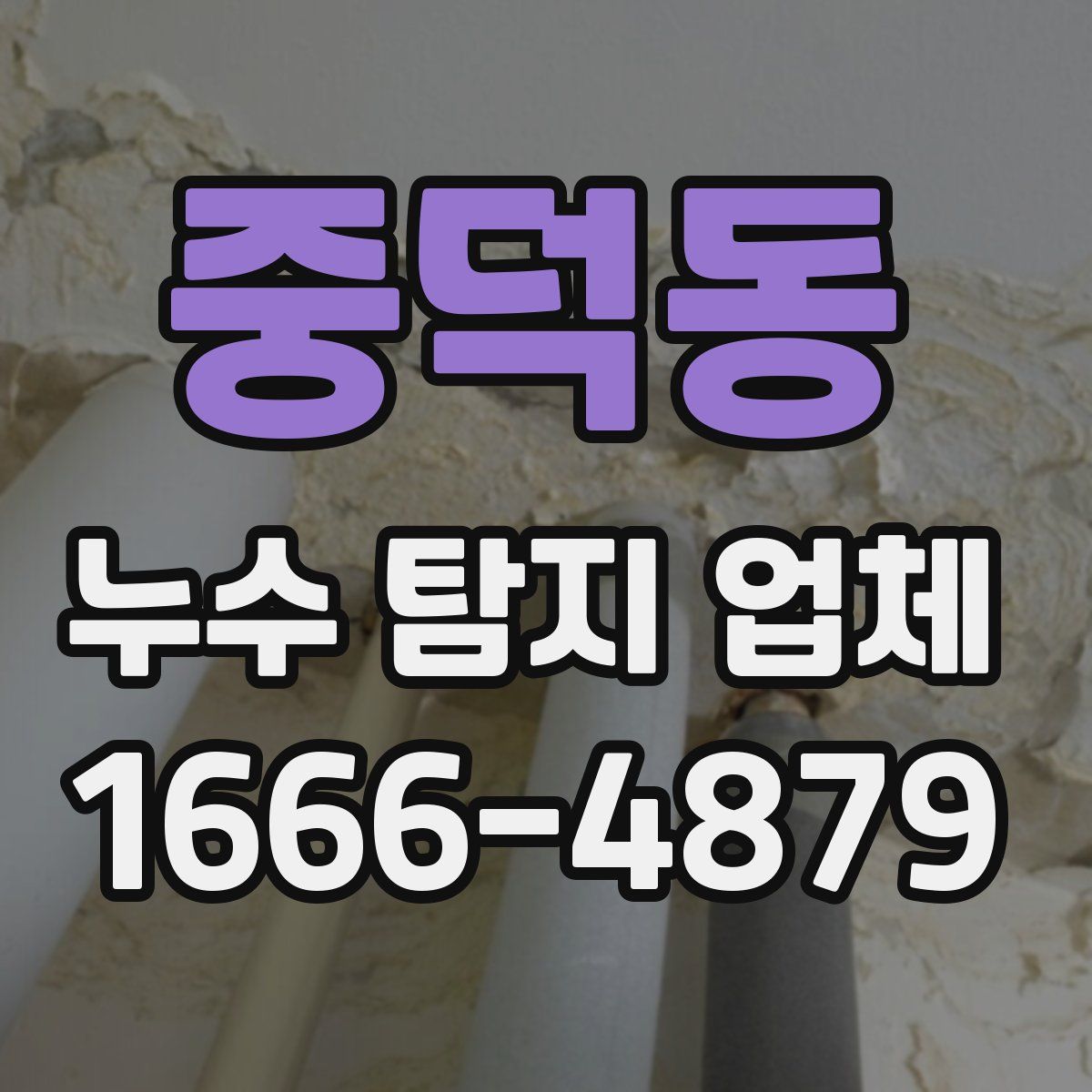 중덕동 누수 탐지 업체