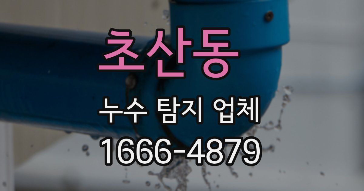 초산동 누수 탐지 업체